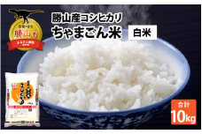 【令和7年産 新米】勝山産 コシヒカリ ちゃまごん米 精米 10kg [C-010018]