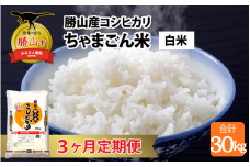 【令和7年産 新米】【定期便3回】勝山のお米 コシヒカリ 精米 10kg（計30kg） [I-010022]