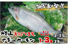 【ふるさと納税】福井県勝山市 勝山 やまのサーモン │ サーモン 鮭 さけ サケ 福井県産 魚 旬 新鮮 活〆 丸ごと 1尾 レビューキャンペーン 海鮮 魚介 ※2～2.5kg×1尾