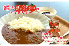 絶品！野菜のコクとうまみ 越のルビー トマト カレー 210g（袋入り）×5袋 [B-05003]