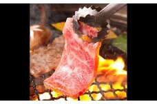 特選★高級和牛『福井県産若狭牛（焼肉用）500ｇ』 [D-06502b]