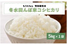 【令和7年産先行予約受付】【2025年10月より順次発送】冬水田んぼ米コシヒカリ（5kg × 1袋）真空パック [B-08224] / こしひかり コシヒカリ 新米 コメ  特別栽培米 5kg 低農薬 化学肥料不使用 福井県 鯖江市