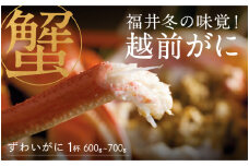【先行予約！9月30日までの特別価格！！】【選べる個数！産地直送】福井の冬の王様！越前がに 600～700g　 [G-00904] / ズワイガニ ズワイ蟹 ずわい蟹 ずわい 剥き身 脚 爪 脚 かにしゃぶ カニ鍋 蟹 お歳暮 カニ かに ふるさと納税かに