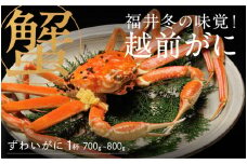 【先行予約！9月30日までの特別価格！！】【選べる個数！産地直送】福井の冬の王様！越前がに 700～800g  [E-00903] / ズワイガニ ズワイ蟹 ずわい蟹 ずわい 剥き身 脚 爪 脚 かにしゃぶ カニ鍋 蟹 お歳暮 カニ かに ふるさと納税かに