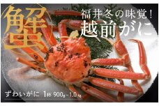 【先行予約！9月30日までの特別価格！！】【選べる個数！産地直送】福井の冬の王様！越前がに 900g～1.0kg[I-00910] / ズワイガニ ズワイ蟹 ずわい蟹 ずわい 剥き身 脚 爪 脚 かにしゃぶ カニ鍋 蟹 お歳暮 カニ かに ふるさと納税かに