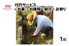 お墓　お掃除・献花・お参り代行サービス　年１回 [C-06001]