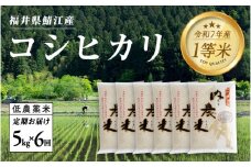 【令和7年産 新米！】【2025年10月上旬以降 順次発送予定】【６ヶ月連続お届け】令和7年産 内農米コシヒカリ定期便 5kg × 6回 計30kg [H-00504]　/ こしひかり 6ヶ月 有機栽培  白米 精米 ご飯 コメ ごはん ライス 産地直送 鯖江市