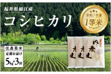 【令和7年産 新米！】【2025年10月上旬以降 順次発送予定】【3ヶ月連続お届け】令和7年産 内農米コシヒカリ定期便 5kg × 3回 計15kg [E-00501] / こしひかり 定期便 3ヶ月 減農薬 有機栽培 白米  精米 ご飯 コメ ごはん ライス 産地直送 鯖江市
