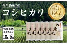 【令和7年産 新米！】【2025年10月上旬以降 順次発送予定】【6ヶ月連続お届け】令和7年産 内農米コシヒカリ定期便 10kg × 6回 計60kg [M-00501]　/ こしひかり 有機栽培 白米  精米 ご飯 コメ ごはん ライス 産地直送 鯖江市