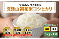 【令和6年産】文殊山 菜花米コシヒカリ　5kg（5kg × 1袋）真空パック [B-08223a] / 真空パック 白米 玄米 特別栽培米 乳酸菌栽培 コシヒカリ米 お米

