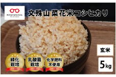 【令和6年産】文殊山 菜花米コシヒカリ　5kg（5kg × 1袋）真空パック [B-08223b] / 真空パック 白米 玄米 特別栽培米 乳酸菌栽培 コシヒカリ米 お米
