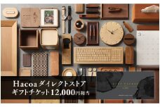 Hacoa ダイレクトストアで使えるギフトチケット 2枚 （合計12,000円相当） [D-06102] /引換券 チケット ギフト プレゼント おしゃれ シンプル ハコア 木工雑貨 鯖江市ふるさと納税