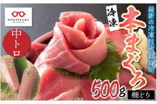 【刺身用】本マグロ 中トロ 500g（柵どり）【最新の冷凍技術】[C-11006]