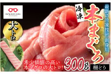 【刺身用】本マグロ 大トロ 300g（柵どり）【最新の冷凍技術】[B-11005]