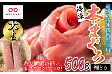 【刺身用】本マグロ大トロ 500g（柵どり）【最新の冷凍技術】 [C-11007]