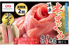 【定期便】【2ヶ月連続お届け】 刺身用！本マグロ大トロ（柵どり） 500g × 2回 【最新の冷凍技術】[F-11011]