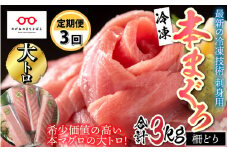 【定期便】【3ヶ月連続お届け】  刺身用！本マグロ大トロ（柵どり） 1kg × 3回 【最新の冷凍技術】[M-11003]