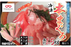 【刺身用】本マグロセット（大トロ 500g + 中トロ 500g + 赤身 500g）計 1.5kg 【最新の冷凍技術】[H-11004]/ 国産 グルメ マグロ 刺身