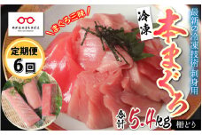 【定期便】【6ヶ月連続お届け】 刺身可！本マグロ堪能セット（柵どり） 計900g × 6回 【最新の冷凍技術】[O-11002]