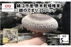鯖江市産 原木乾燥椎茸「越のてまり」 （大・中サイズ）3パック &（小サイズ）2パック　計5パック [B-05001]