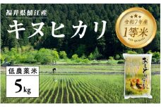 【令和7年産新米！】【2025年10月上旬以降 順次発送予定】福井県産 おしどり米 キヌヒカリ 5kg [B-00537]　/ 白米 精米 ご飯 コメ ごはん ライス 産地直送 鯖江市