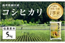 【令和7年産 新米！】【2025年9月下旬以降 順次発送予定】福井県産 おしどり米 コシヒカリ 5kg [B-00538] / こしひかり 有機栽培 新米 白米 精米 ご飯 コメ ごはん ライス 産地直送 鯖江市