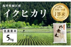 【令和7年産新米！】【2025年9月下旬以降 順次発送予定】福井県産 内農米 イクヒカリ 5kg [B-00540] / 白米 精米 ご飯 コメ ごはん ライス 産地直送 鯖江市