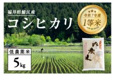 【令和7年産 新米！】【2025年9月下旬以降 順次発送予定】福井県産 内農米 コシヒカリ 5kg [B-00541]　/ こしひかり 白米 精米 ご飯 コメ ごはん ライス 有機栽培 産地直送 鯖江市