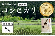【令和7年産 新米！】【2025年9月下旬以降 順次発送予定】福井県産 内農米 コシヒカリ 無洗米 5kg [B-00542] / こしひかり 有機栽培 白米 新米 白米 精米 ご飯 コメ ごはん ライス 産地直送 鯖江市
