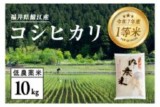 【令和7年産 新米！】【2025年9月下旬以降 順次発送予定】福井県産 内農米 コシヒカリ 10kg [C-00509]　/ こしひかり 有機栽培  白米 精米 ご飯 コメ ごはん ライス 産地直送 鯖江市