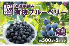 ＜選べる内容量＞【訳あり】令和7年産〈冷凍〉手摘み有機ブルーベリー1kg（500g × 2パック）[A-11304] /農薬不使用 無農薬 冷凍ブルーベリー 加工用 スムージー スーパーフード 訳あり国産 500g 1kg 福井県鯖江市 ふるさと納税