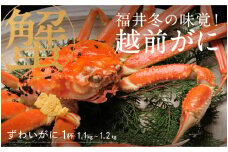 【先行予約！9月30日までの特別価格！！】【選べる個数！産地直送】福井の冬の王様！越前がに 1.1～1.2kg  [J-00911] / ズワイガニ ズワイ蟹 ずわい蟹 ずわい 剥き身 脚 爪 脚 かにしゃぶ カニ鍋 蟹 お歳暮 カニ かに ふるさと納税かに