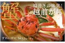 【先行予約！9月30日までの特別価格！！】【選べる個数！産地直送】福井の冬の王様！越前がに  1.3～1.4kg  [N-00906] / ズワイガニ ズワイ蟹 ずわい蟹 ずわい 剥き身 脚 爪 脚 かにしゃぶ カニ鍋 蟹 お歳暮 カニ かに ふるさと納税かに