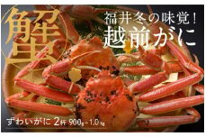 【先行予約！9月30日までの特別価格！！】【選べる個数！産地直送】福井の冬の王様！越前がに 900g～1.0kg × 2杯 [N-00905] / ズワイガニ ズワイ蟹 ずわい蟹 ずわい 剥き身 脚 爪 脚 かにしゃぶ カニ鍋 蟹 お歳暮 カニ かに ふるさと納税かに