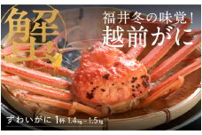 【先行予約！9月30日までの特別価格！！】【選べる個数！産地直送】福井の冬の王様！越前がに 1.4～1.5kg　 [O-00910] / ズワイガニ ズワイ蟹 ずわい蟹 ずわい 剥き身 脚 爪 脚 かにしゃぶ カニ鍋 蟹 お歳暮 カニ かに ふるさと納税かに