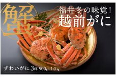 【先行予約！9月30日までの特別価格！！】【選べる個数！産地直送】福井の冬の王様！越前がに 900g～1.0kg × 3杯  [O-00909] / ズワイガニ ズワイ蟹 ずわい蟹 ずわい 剥き身 脚 爪 脚 かにしゃぶ カニ鍋 蟹 お歳暮 カニ かに ふるさと納税かに