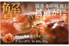 【先行予約！9月30日までの特別価格！！】【選べる個数！産地直送】福井冬の味覚！越前がに（ずわいがに活 1杯）800～900g ＆ せいこ甲羅盛り3個 [I-00911] / せいこ セイコガニ ズワイガニ ズワイ蟹 ずわい蟹 剥き身 脚 爪 脚 かにしゃぶ カニ鍋 蟹 お歳暮