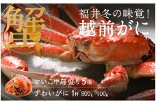 【先行予約！9月30日までの特別価格！！】【選べる個数！産地直送】福井冬の味覚！越前がに（ずわいがに活 1杯）800～900g ＆ せいこ甲羅盛り5個 [J-00908] / せいこ セイコガニ ズワイガニ ズワイ蟹 ずわい蟹 剥き身 脚 爪 脚 かにしゃぶ カニ鍋 蟹 お歳暮