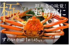 【先行予約！9月30日までの特別価格！！】【数量限定】【産地直送】福井冬の味覚！越前がに 極 1杯（1.45kg以上） [P-00912] / ズワイガニ ズワイ蟹 ずわい蟹 ずわい 剥き身 脚 爪 脚 かにしゃぶ カニ鍋 蟹 お歳暮 カニ かに ふるさと納税かに