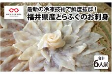 【最新の冷凍技術】福井県産とらふぐのお刺身（てっさ）6人前 約180g [D-11005]