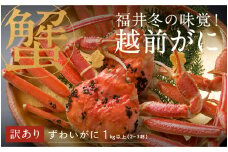 【先行予約！9月30日までの特別価格！！】【選べる容量！産地直送】福井の冬の王様！【訳あり】越前がに 合計1kg以上（2～3杯）2～3人前  [H-00917] / ズワイガニ ズワイ蟹 ずわい蟹 ずわい 剥き身 脚 爪 脚 かにしゃぶ カニ鍋 蟹 お歳暮 カニ かに