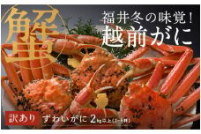 【先行予約！9月30日までの特別価格！！】【選べる容量！産地直送】福井の冬の王様！【訳あり】越前がに 合計2kg以上（2～5杯）3～5人前 [M-00906] / ズワイガニ ズワイ蟹 ずわい蟹 ずわい 剥き身 脚 爪 脚 かにしゃぶ カニ鍋 蟹 お歳暮 カニ かに
