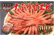 【選べる容量！】【小分け】越前産冷凍甘えび大サイズ 約250g × 2パック 合計約500g [A-11009] / 甘えび 甘エビ えび 大ぶり甘エビ 海老 海鮮 刺身 冷凍 福井県 鯖江市