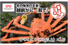 【2024年11月16日以降着指定可！】北陸の冬の味覚の王者！越前がに（オス）「ずわいがに」訳あり 小サイズ400g以上 × 1杯 [D-11006]
