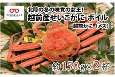 【2024年11月16日以降着指定可！】越前ガニ（メス）「せいこがに」150g前後 × 2杯 [B-11010]