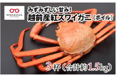 【2024年11月16日以降着指定可！】【越前産】紅ずわいがに 3杯 合計1.5kg前後 [C-11005]