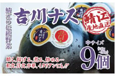 期間限定！　吉川ナス（中サイズ）1箱（9個入） [A-05906] / 丸ナス なす 茄子 伝統野菜 野菜