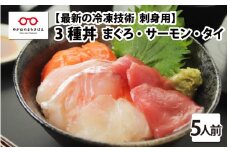 【刺身用】海鮮丼の具3種盛り（マグロ・サーモン・タイ） 60g（タレ付） × 5人前 【最新の冷凍技術】[B-11015]