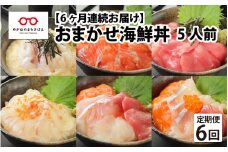 【6ヶ月連続お届け】【刺身用】おまかせ海鮮丼の具 60g（タレ付）× 5人前 × 6回 【最新の冷凍技術】[G-11005]/国産 グルメ 鮪 マグロ 鮭 たい 鯛 イカ 海の幸 海鮮 