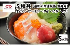 【刺身用】海鮮丼の具5種盛り（マグロ・サーモン・タイ・イカ・ブリ）60g（タレ付） × 5人前 【最新の冷凍技術】[B-11016]
